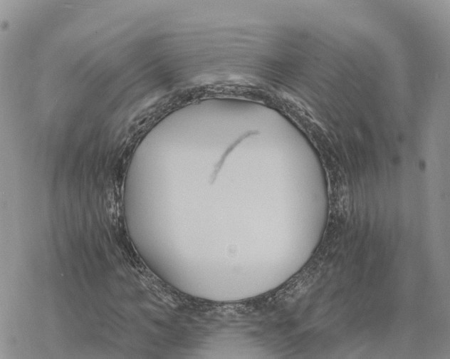 X0000078260966200611251324