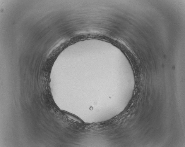 X0000078260967200611251324