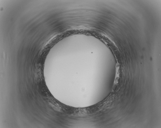 X0000078260968200611251324