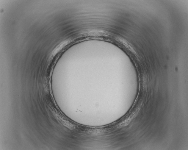 X0000078260970200611251324