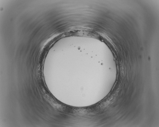 X0000078260971200611251324