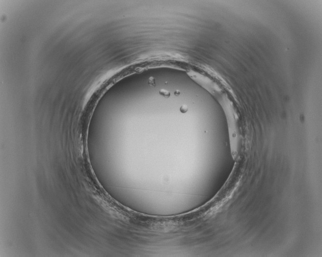 X0000078260973200611251324