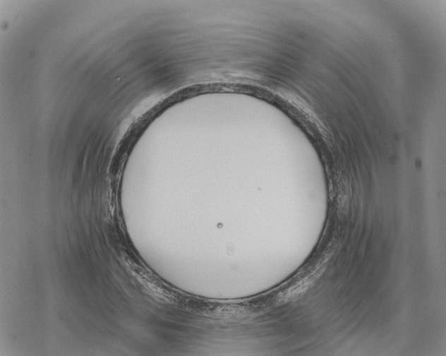 X0000078260974200611251324