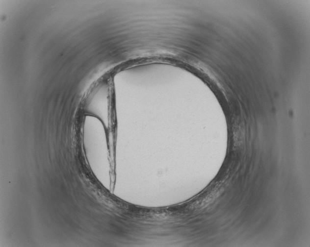 X0000078260975200611251324