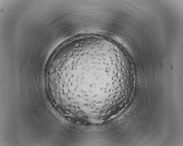 X0000078260976200611251324