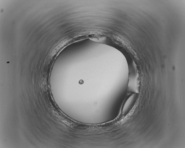 X0000078260977200611251324