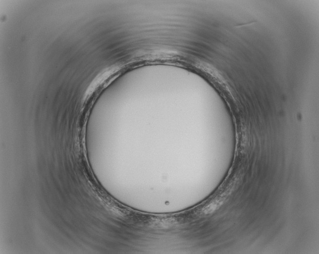 X0000078260978200611251324