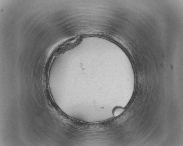 X0000078260979200611251324