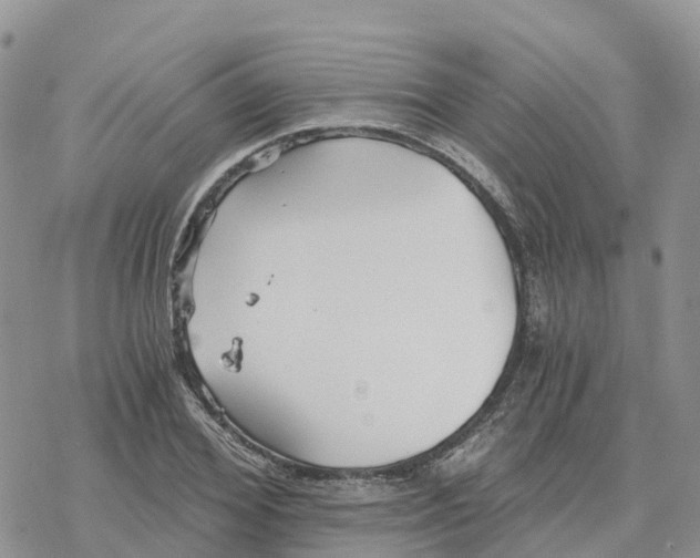 X0000078260980200611251324