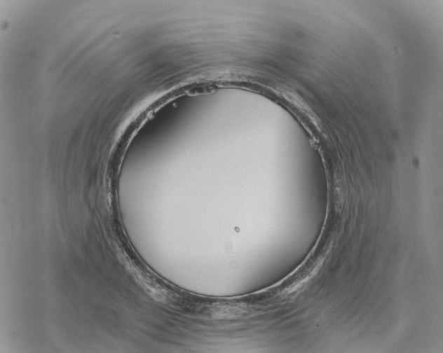 X0000078260981200611251324