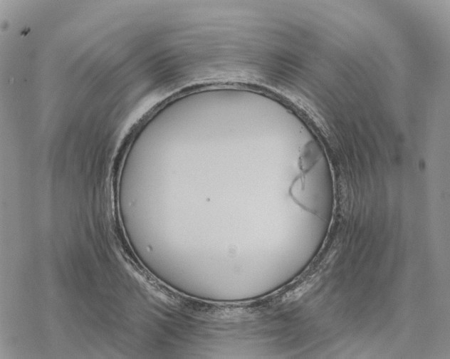 X0000078260982200611251324