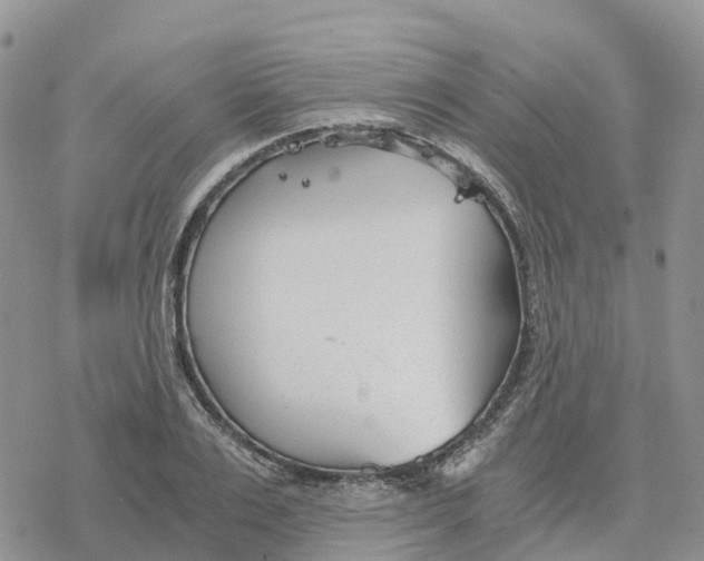 X0000078260983200611251324