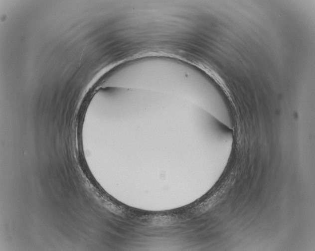 X0000078260984200611251324