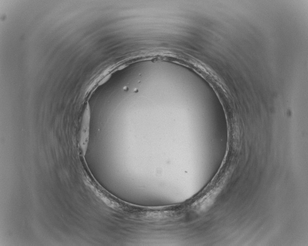 X0000078260985200611251324