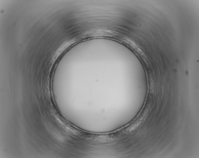 X0000078260986200611251324