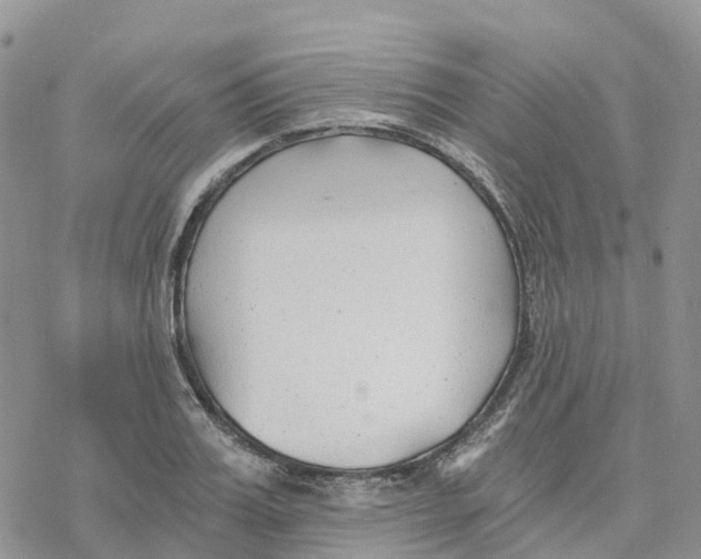 X0000078260987200611251324