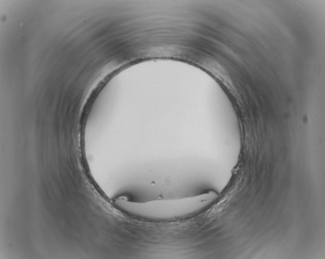 X0000078260992200611251324