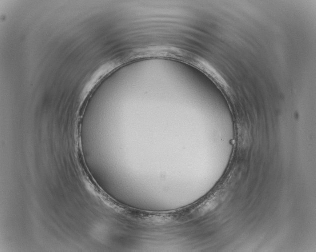 X0000078260994200611251324