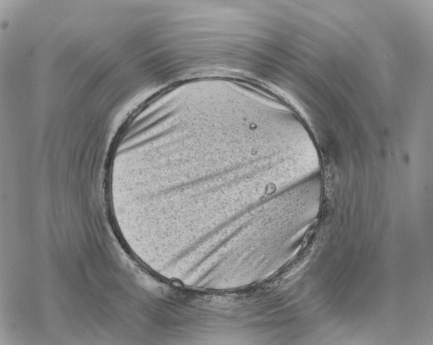 X0000078260995200611251324