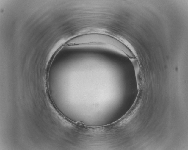 X0000078260997200611251324