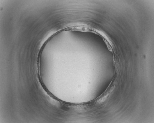 X0000078260999200611251324