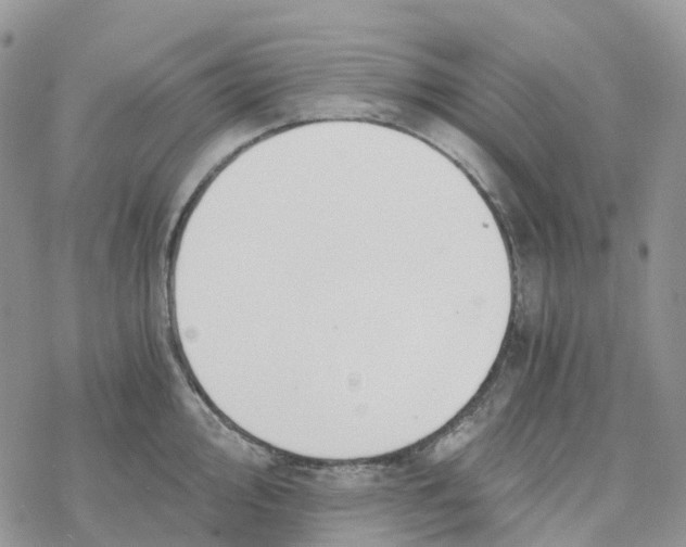 X0000078261000200611251324