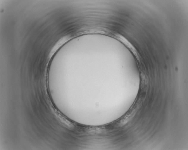 X0000078261002200611251324