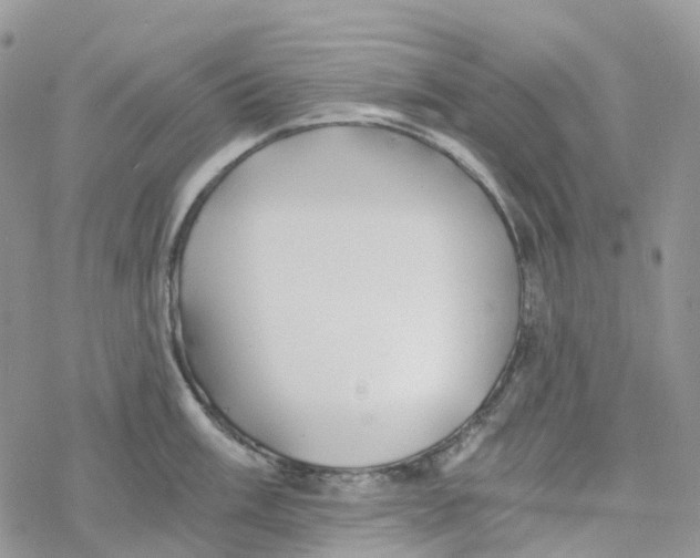 X0000078261003200611251324