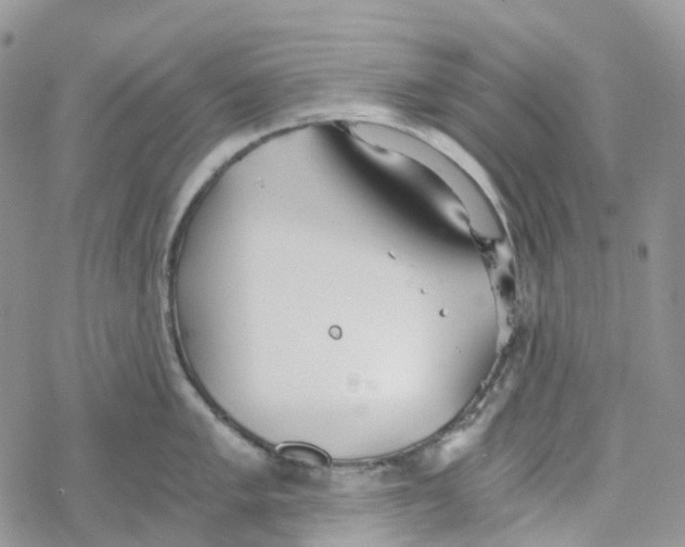 X0000078261005200611251324