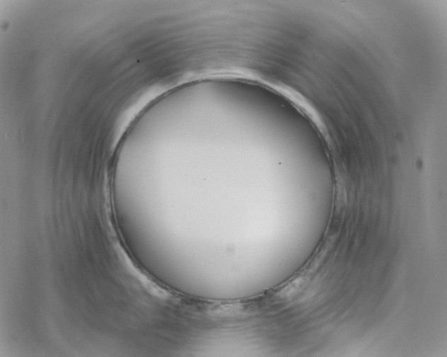 X0000078261006200611251324