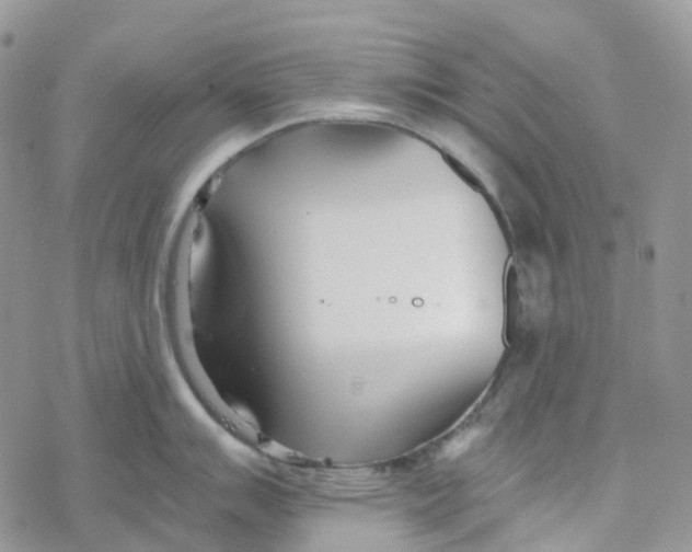 X0000078261007200611251324