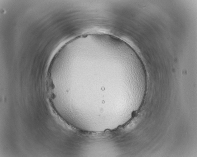 X0000078261008200611251324