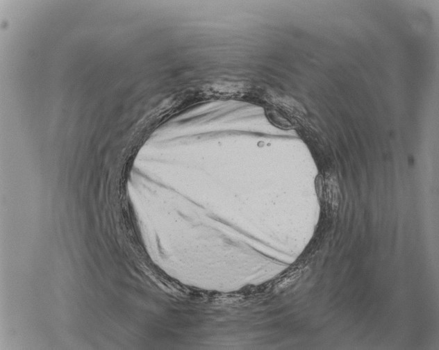 X0000078261009200611251323