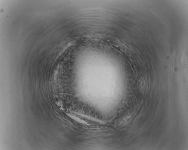 X0000078261010200611251323