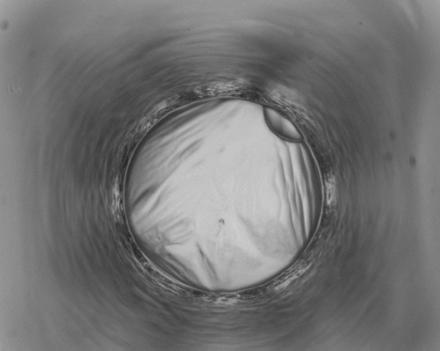 X0000078261011200611251323