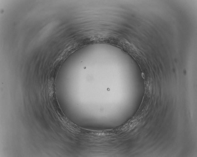 X0000078261012200611251323