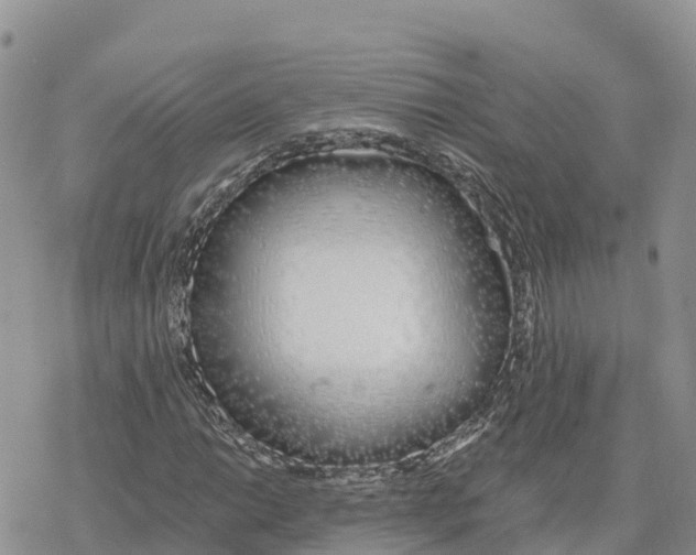 X0000078261014200611251323