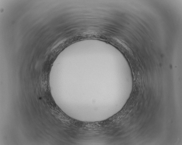 X0000078261015200611251323