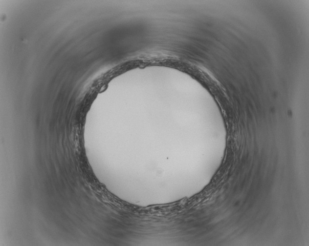 X0000078261016200611251323