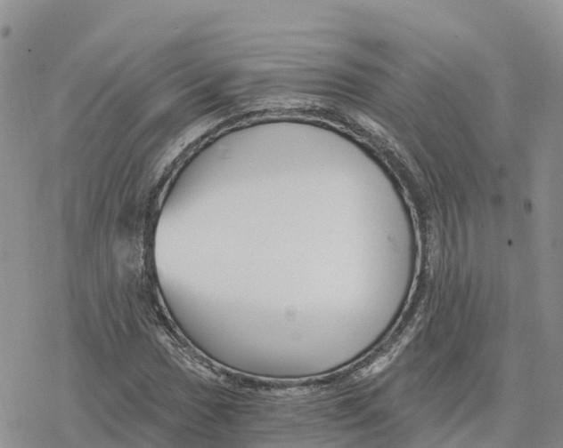 X0000078261017200611251323