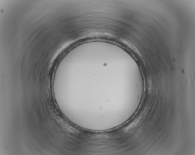 X0000078261021200611251323