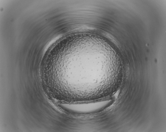 X0000078261026200611251323