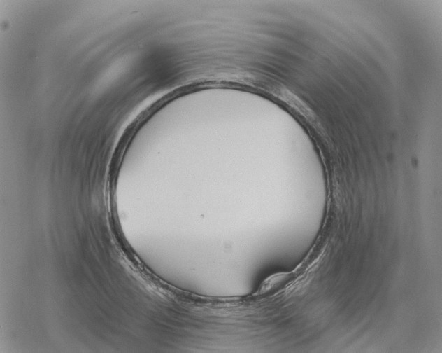 X0000078261028200611251323