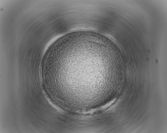 X0000078261030200611251323