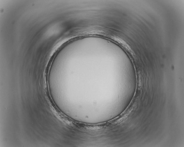 X0000078261031200611251323