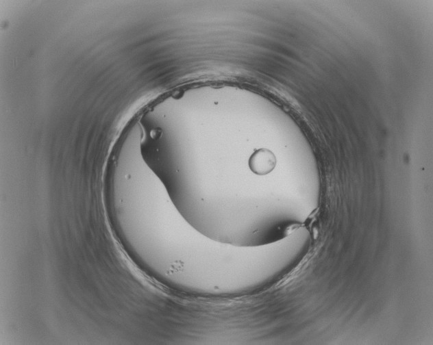 X0000078261034200611251323