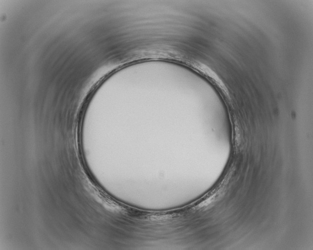 X0000078261035200611251323