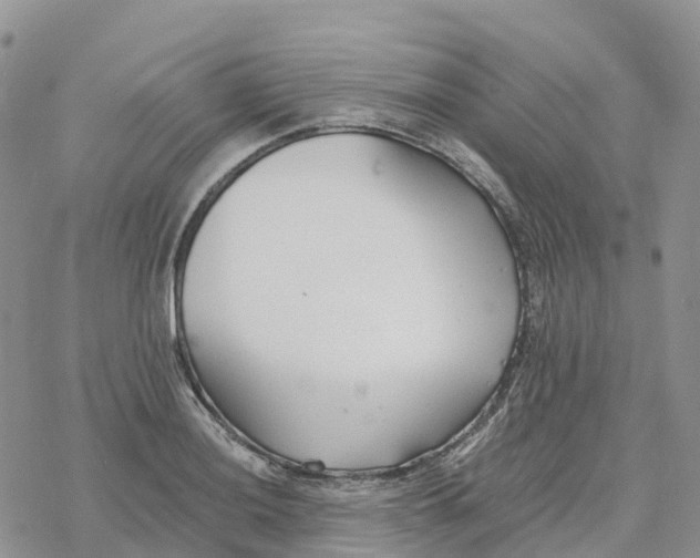 X0000078261036200611251323