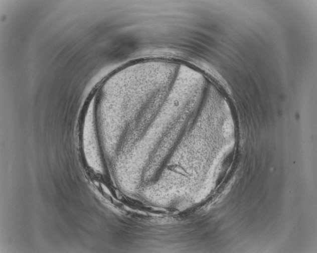 X0000078261037200611251323