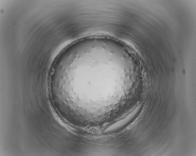 X0000078261038200611251323